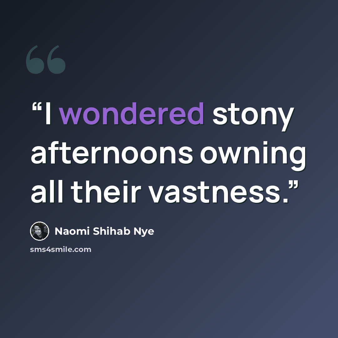 “I wondered stony afternoons owning all their vastness.” quote by Naomi Shihab Nye