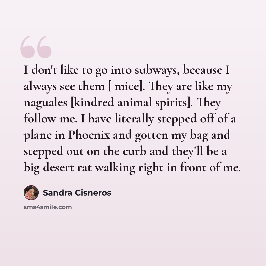 “I don't like to go into subways, because I always see them [ mice]. They are like my naguales [kindred animal spirits]. They follow me. I have literally stepped off of a plane in Phoenix and gotten my bag and stepped out on the curb and they'll be a big desert rat walking right in front of me.” quote by Sandra Cisneros