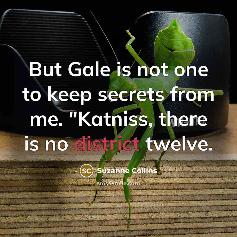 “But Gale is not one to keep secrets from me. "Katniss, there is no district twelve.” quote by Suzanne Collins