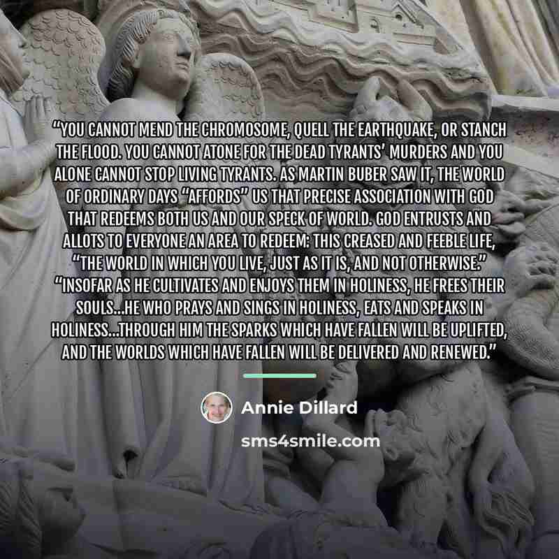 “You cannot mend the chromosome, quell the earthquake, or stanch the flood. You cannot atone for the dead tyrants’ murders and you alone cannot stop living tyrants. As Martin Buber saw it, the world of ordinary days “affords” us that precise association with god that redeems both us and our speck…” quote by Annie Dillard