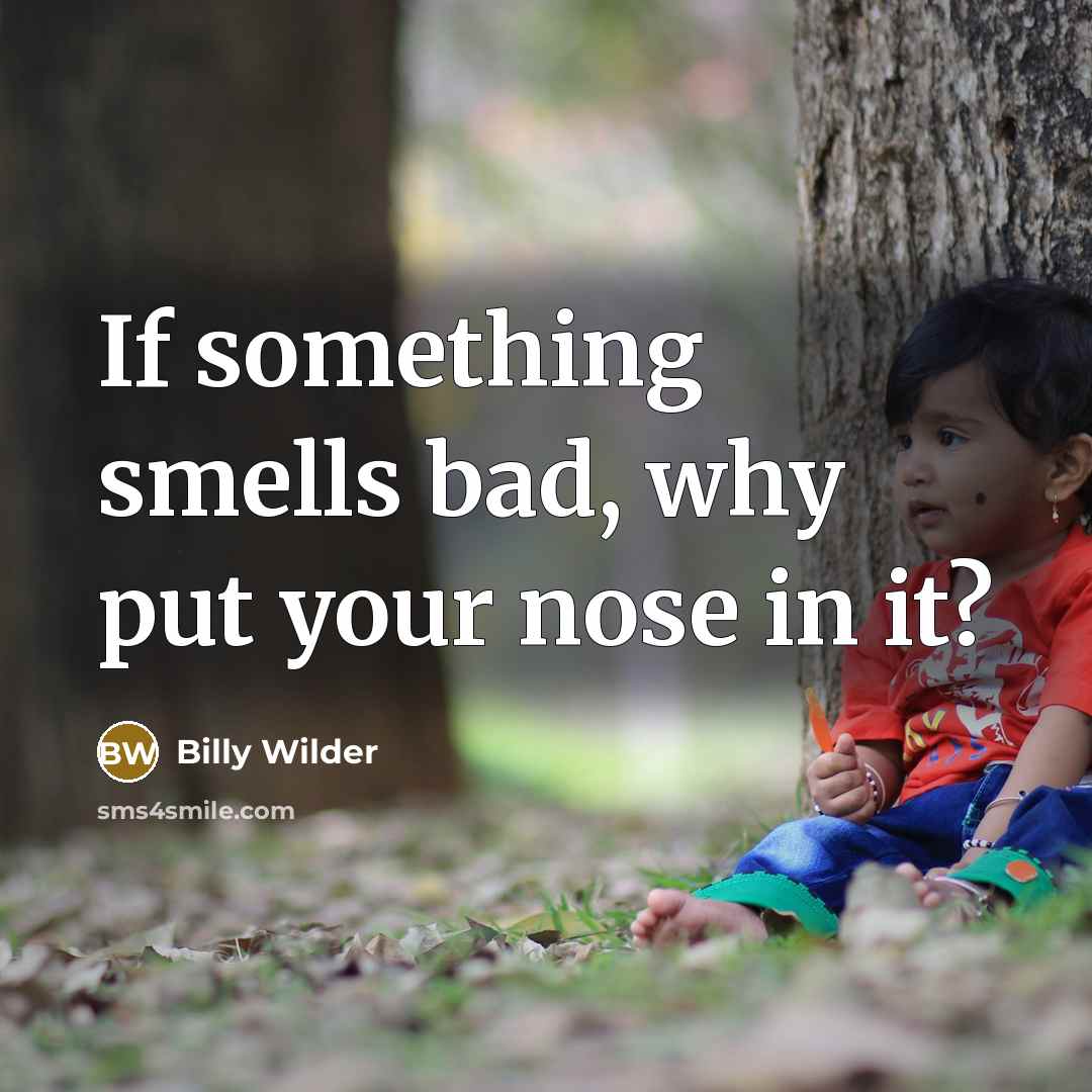 “If something smells bad, why put your nose in it?” quote by Billy Wilder