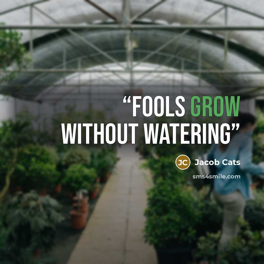 “Fools grow without watering” quote by Jacob Cats