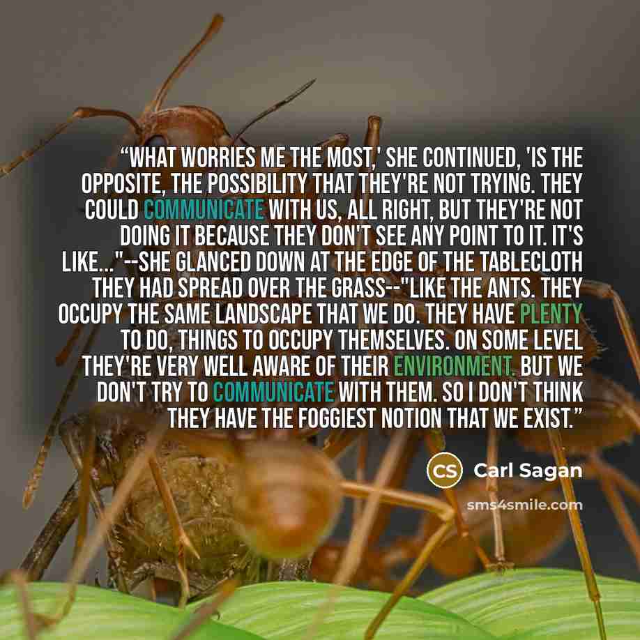 “What worries me the most,' she continued, 'is the opposite, the possibility that they're not trying. They could communicate with us, all right, but they're not doing it because they don't see any point to it. It's like..."--she glanced down at the edge of the tablecloth they had spread over the…” quote by Carl Sagan