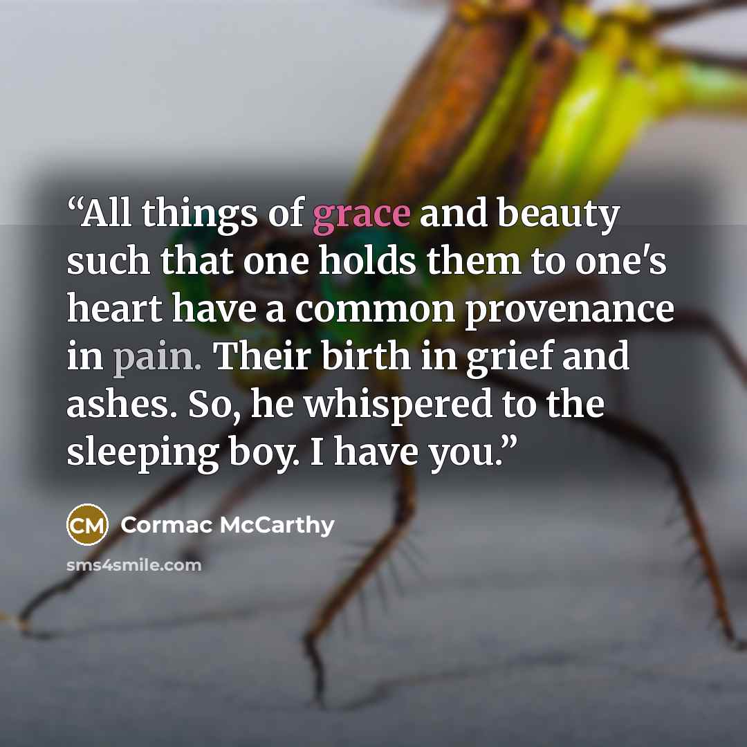 “All things of grace and beauty such that one holds them to one's heart have a common provenance in pain. Their birth in grief and ashes. So, he whispered to the sleeping boy. I have you.” quote by Cormac McCarthy