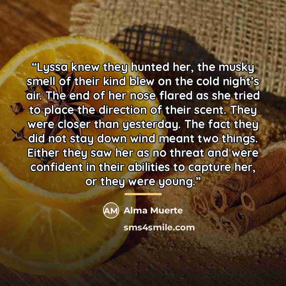 “Lyssa knew they hunted her, the musky smell of their kind blew on the cold night’s air. The end of her nose flared as she tried to place the direction of their scent. They were closer than yesterday. The fact they did not stay down wind meant two things. Either they saw her as no threat and were…” quote by Alma Muerte