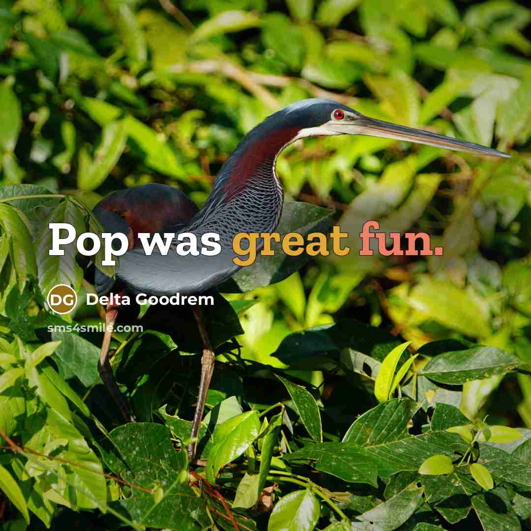 “Pop was great fun.” quote by Delta Goodrem