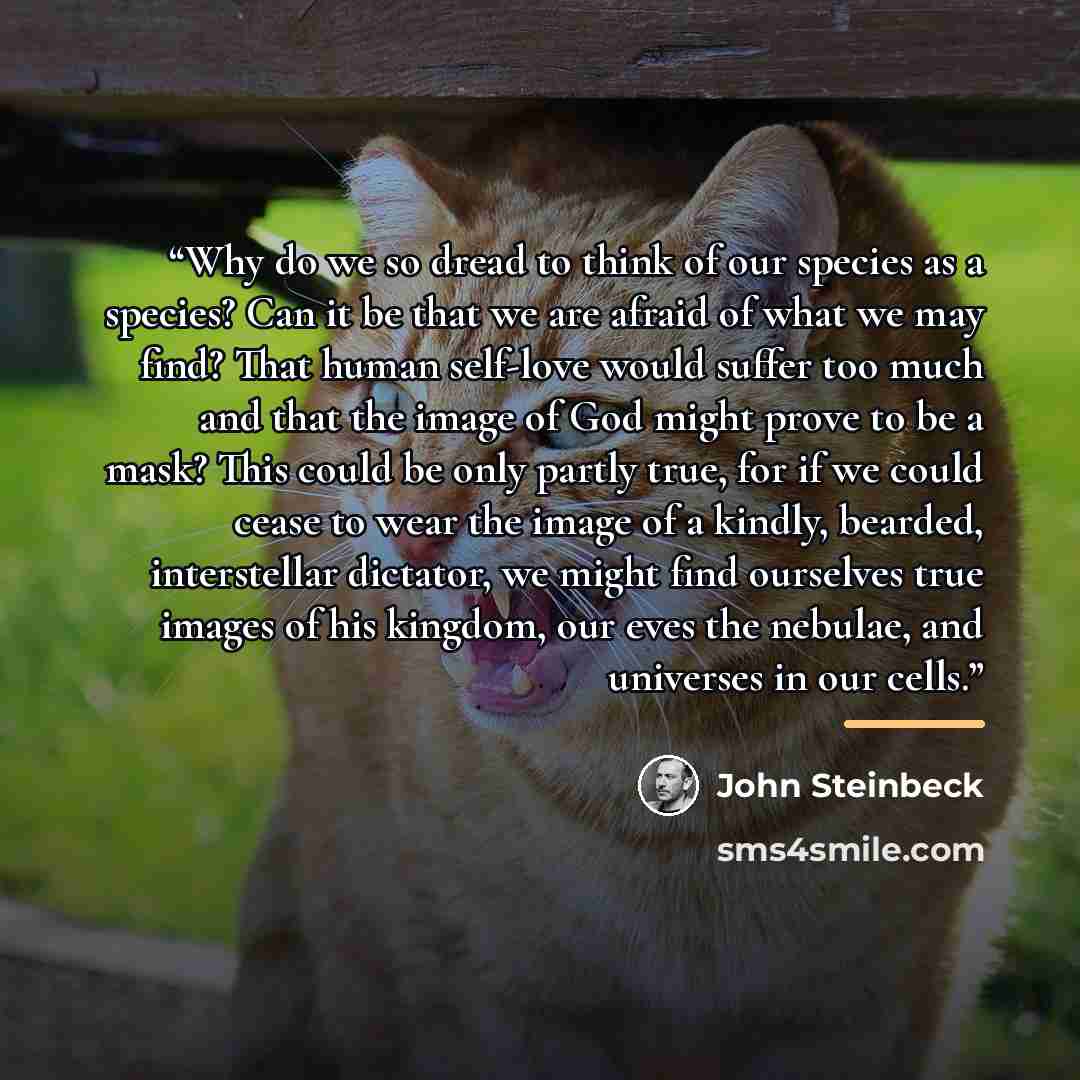 “Why do we so dread to think of our species as a species? Can it be that we are afraid of what we may find? That human self-love would suffer too much and that the image of God might prove to be a mask? This could be only partly true, for if we could cease to wear the image of a kindly, bearded…” quote by John Steinbeck