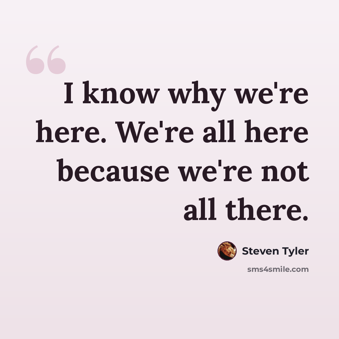 “I know why we're here. We're all here because we're not all there.” quote by Steven Tyler