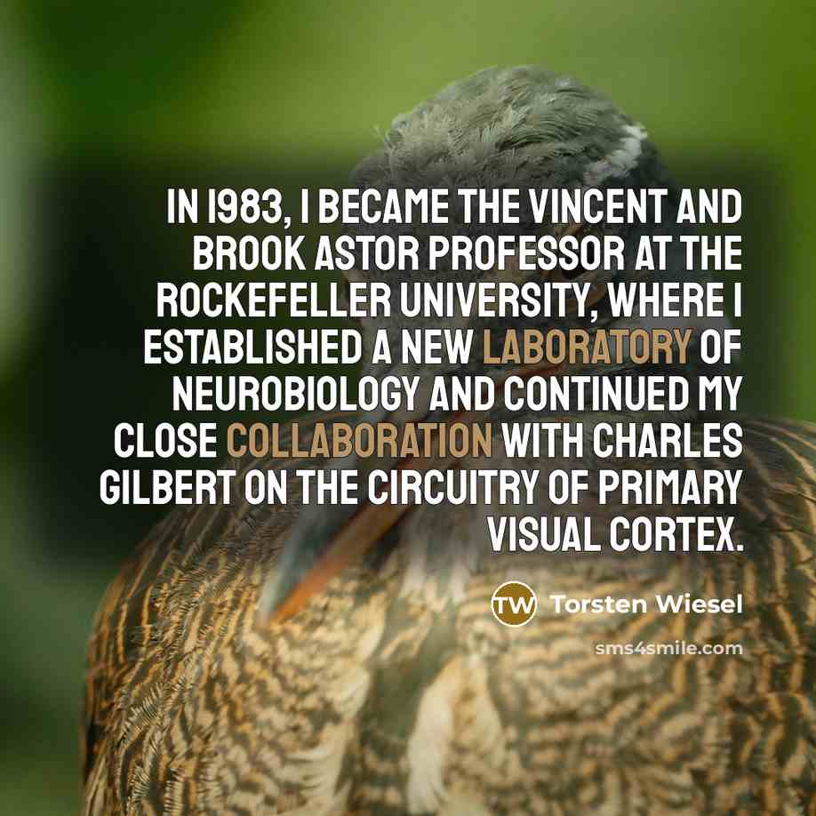 “In 1983, I became the Vincent and Brook Astor Professor at The Rockefeller University, where I established a new Laboratory of Neurobiology and continued my close collaboration with Charles Gilbert on the circuitry of primary visual cortex.” quote by Torsten Wiesel