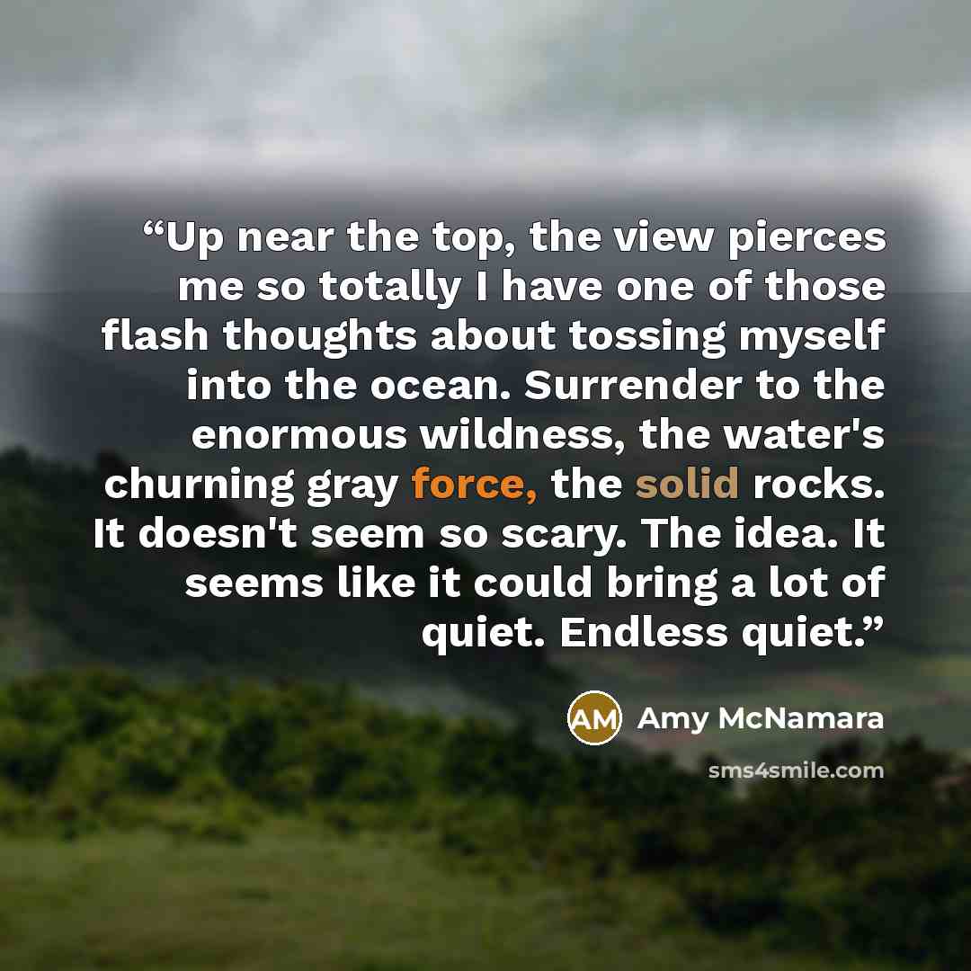 “Up near the top, the view pierces me so totally I have one of those flash thoughts about tossing myself into the ocean. Surrender to the enormous wildness, the water's churning gray force, the solid rocks. It doesn't seem so scary. The idea. It seems like it could bring a lot of quiet. Endless…” quote by Amy McNamara