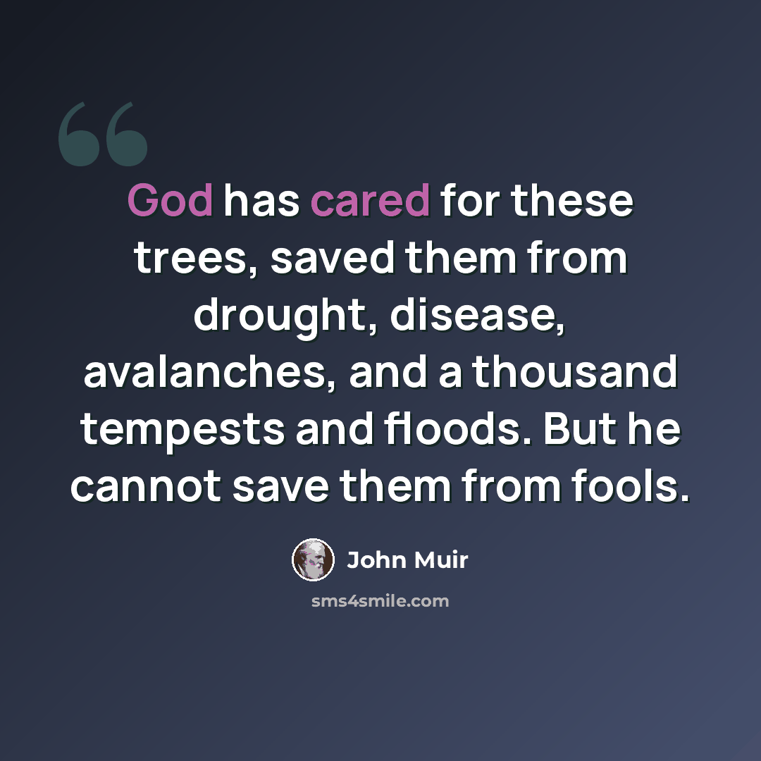 “God has cared for these trees, saved them from drought, disease, avalanches, and a thousand tempests and floods. But he cannot save them from fools.” quote by John Muir