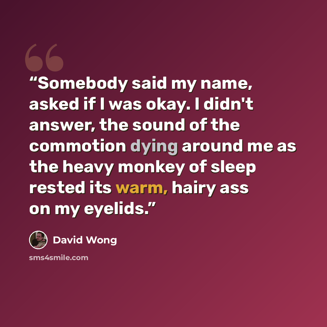 “Somebody said my name, asked if I was okay. I didn't answer, the sound of the commotion dying around me as the heavy monkey of sleep rested its warm, hairy ass on my eyelids.” quote by David Wong