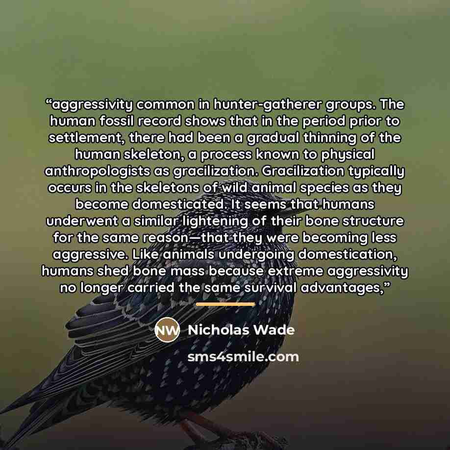 “aggressivity common in hunter-gatherer groups. The human fossil record shows that in the period prior to settlement, there had been a gradual thinning of the human skeleton, a process known to physical anthropologists as gracilization. Gracilization typically occurs in the skeletons of wild animal…” quote by Nicholas Wade