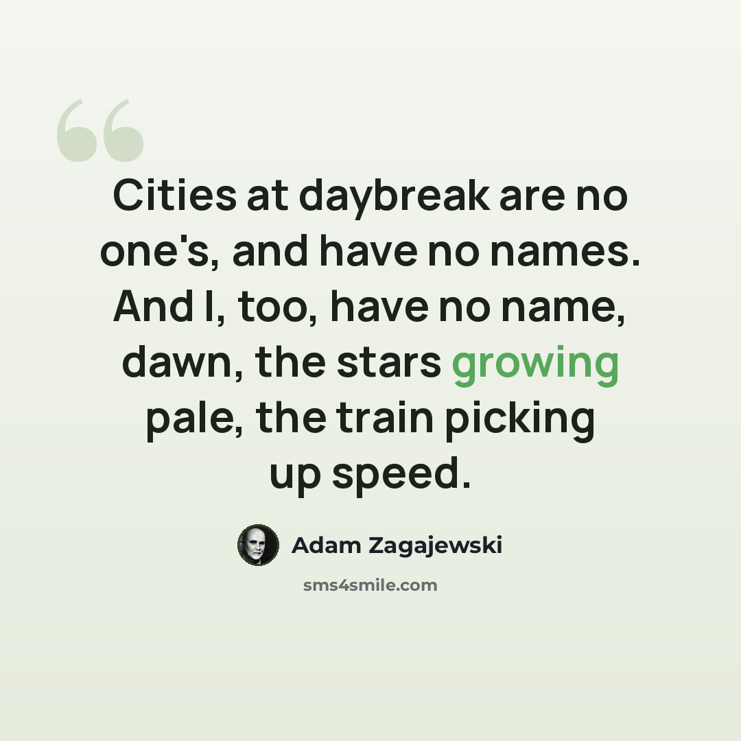 “Cities at daybreak are no one's, and have no names. And I, too, have no name, dawn, the stars growing pale, the train picking up speed.” quote by Adam Zagajewski