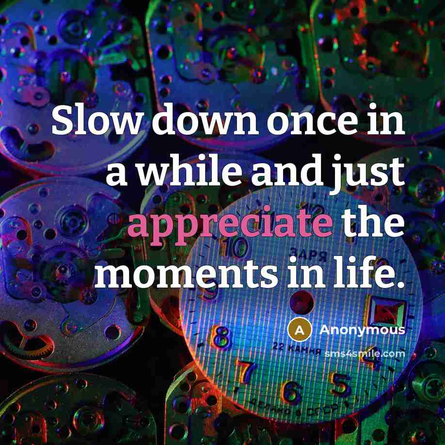 “Slow down once in a while and just appreciate the moments in life.” quote by Anonymous