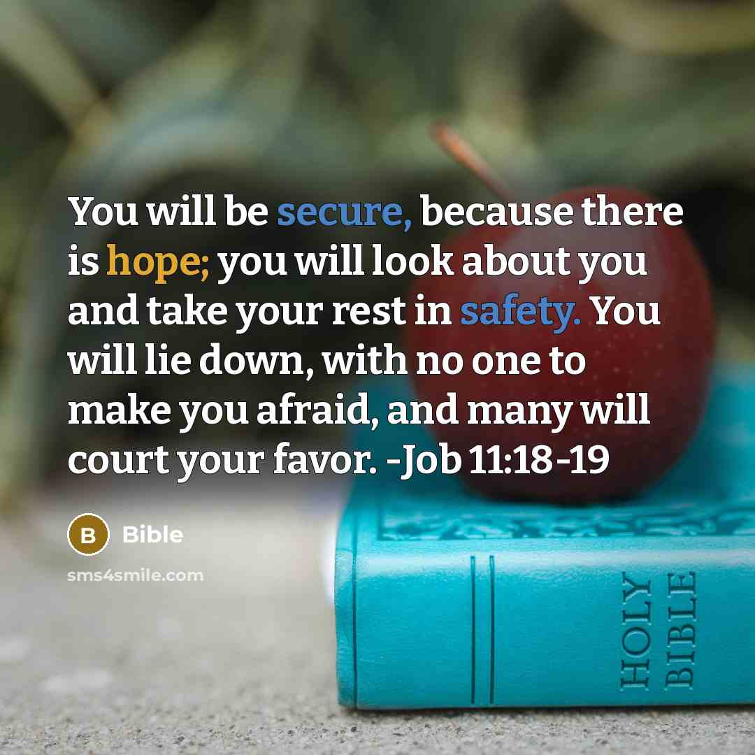 “You will be secure, because there is hope; you will look about you and take your rest in safety. You will lie down, with no one to make you afraid, and many will court your favor. -Job 11:18-19” quote by Bible
