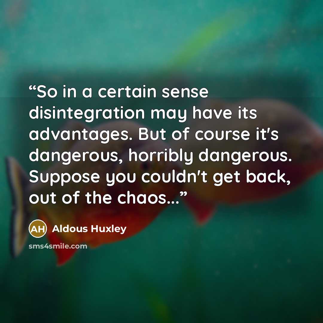 “So in a certain sense disintegration may have its advantages. But of course it's dangerous, horribly dangerous. Suppose you couldn't get back, out of the chaos...” quote by Aldous Huxley