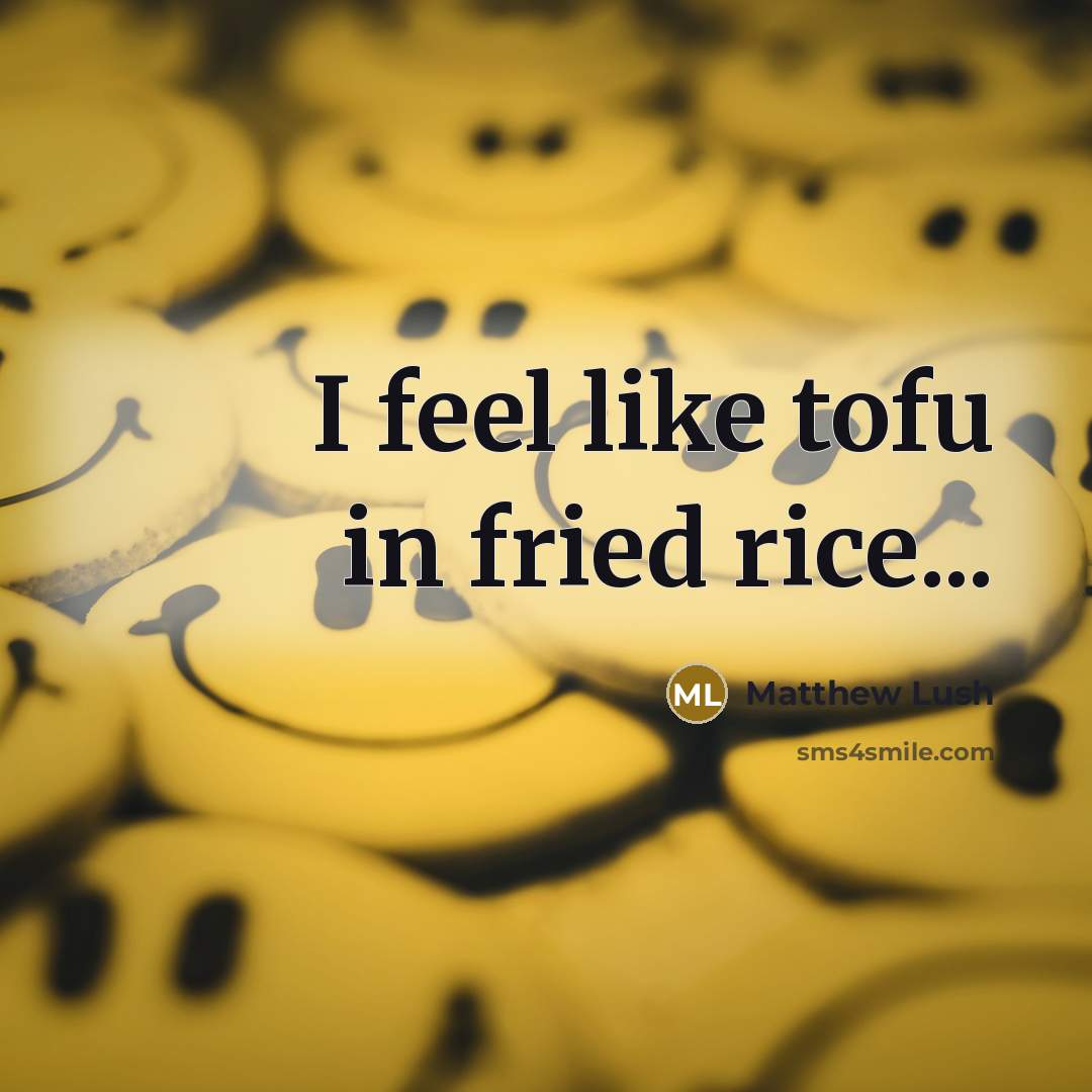 “I feel like tofu in fried rice...” quote by Matthew Lush