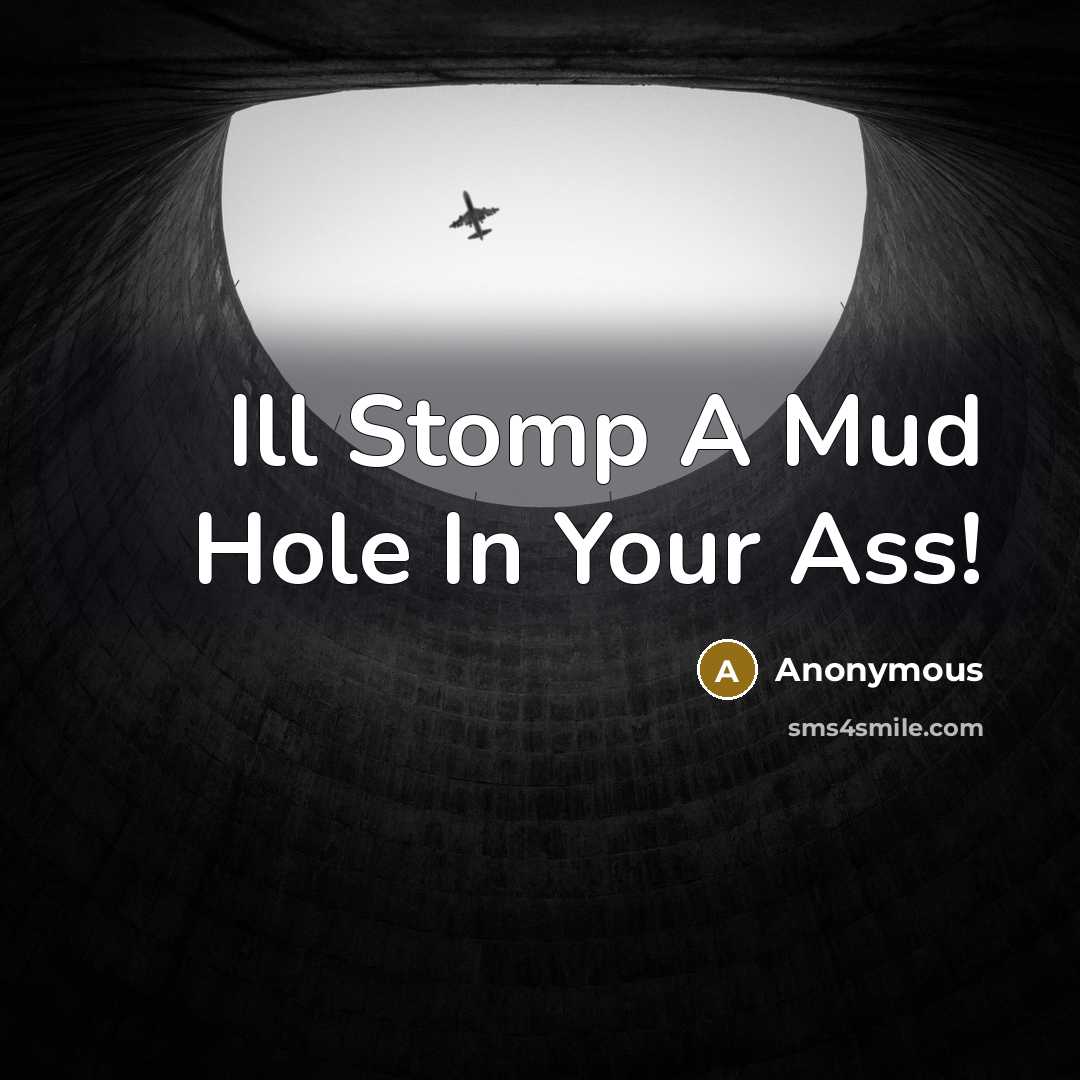 “Ill Stomp A Mud Hole In Your Ass!” quote by Anonymous