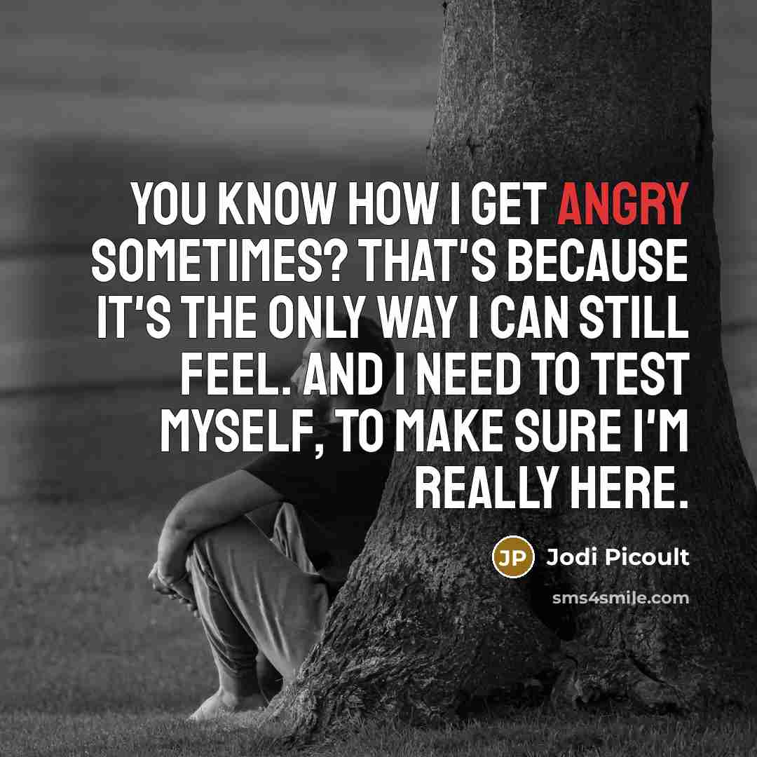 “You know how I get angry sometimes? That's because it's the only way I can still feel. And I need to test myself, to make sure I'm really here.” quote by Jodi Picoult