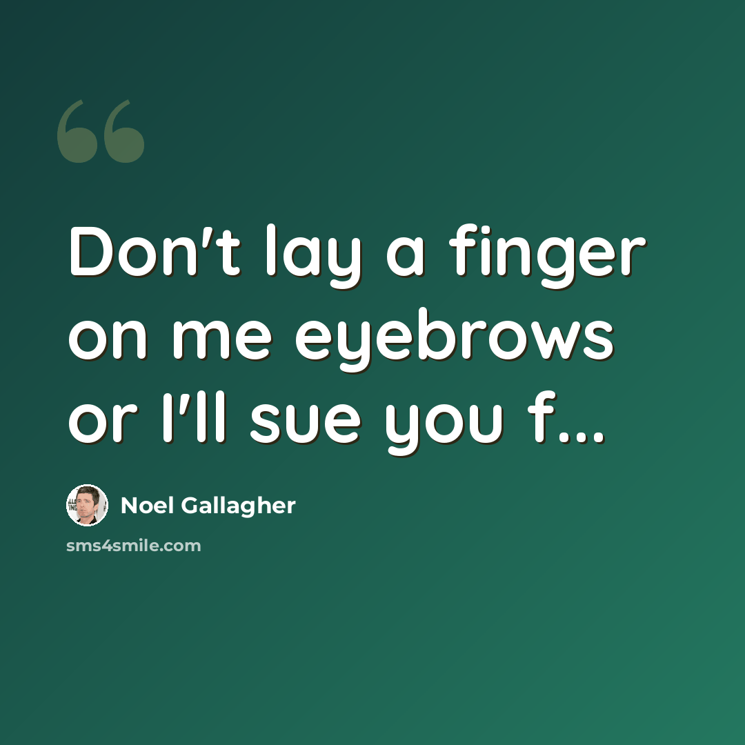 “Don't lay a finger on me eyebrows or I'll sue you f...” quote by Noel Gallagher