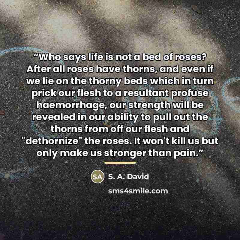 “Who says life is not a bed of roses? After all roses have thorns, and even if we lie on the thorny beds which in turn prick our flesh to a resultant profuse haemorrhage, our strength will be revealed in our ability to pull out the thorns from off our flesh and "dethornize" the roses. It won't kill…” quote by S. A. David