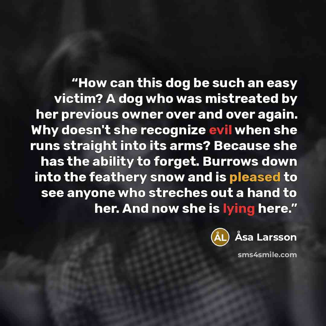 “How can this dog be such an easy victim? A dog who was mistreated by her previous owner over and over again. Why doesn't she recognize evil when she runs straight into its arms? Because she has the ability to forget. Burrows down into the feathery snow and is pleased to see anyone who streches out…” quote by Åsa Larsson