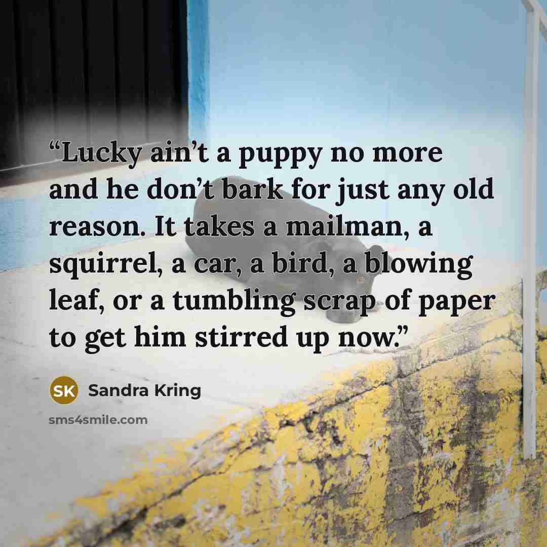 “Lucky ain’t a puppy no more and he don’t bark for just any old reason. It takes a mailman, a squirrel, a car, a bird, a blowing leaf, or a tumbling scrap of paper to get him stirred up now.” quote by Sandra Kring