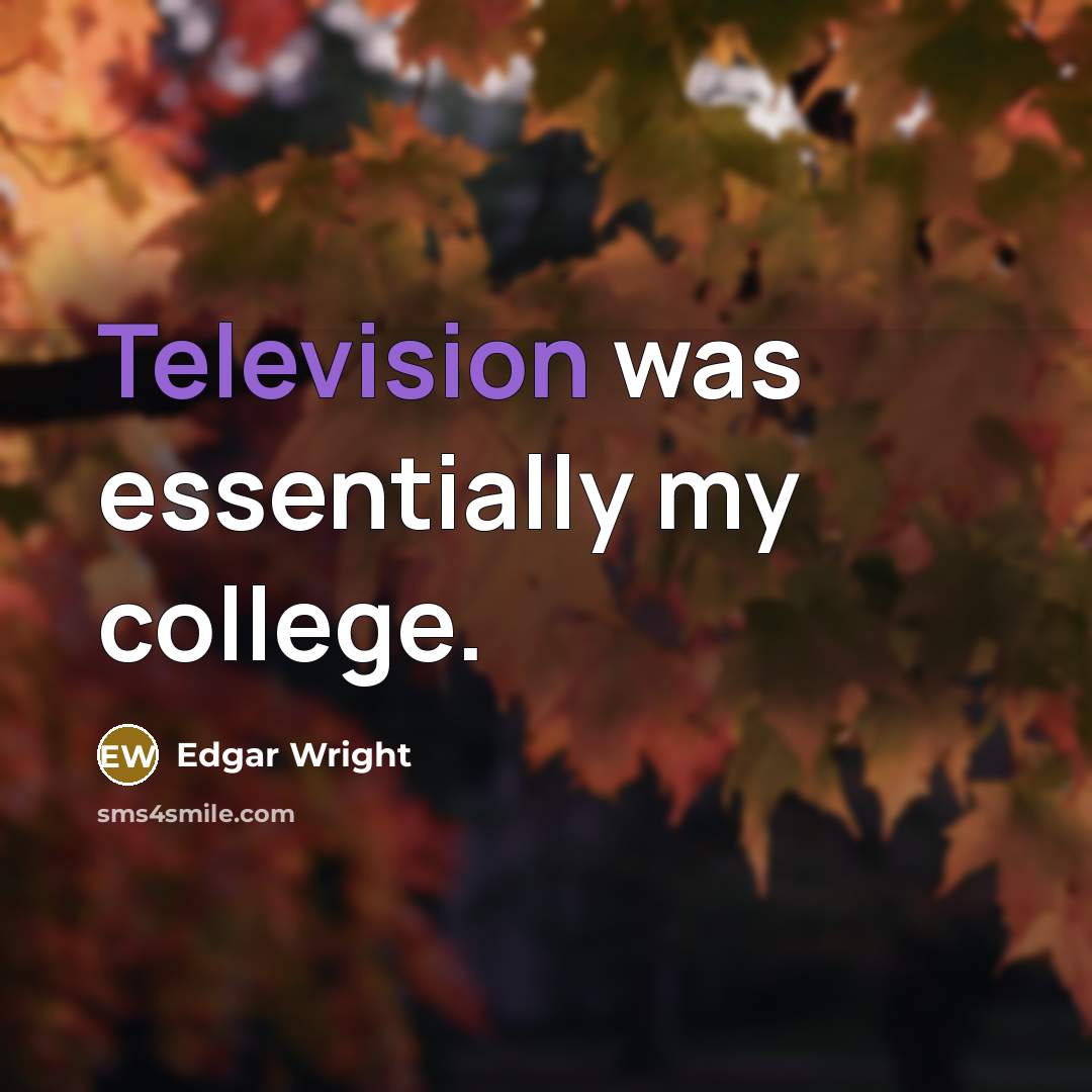 “Television was essentially my college.” quote by Edgar Wright