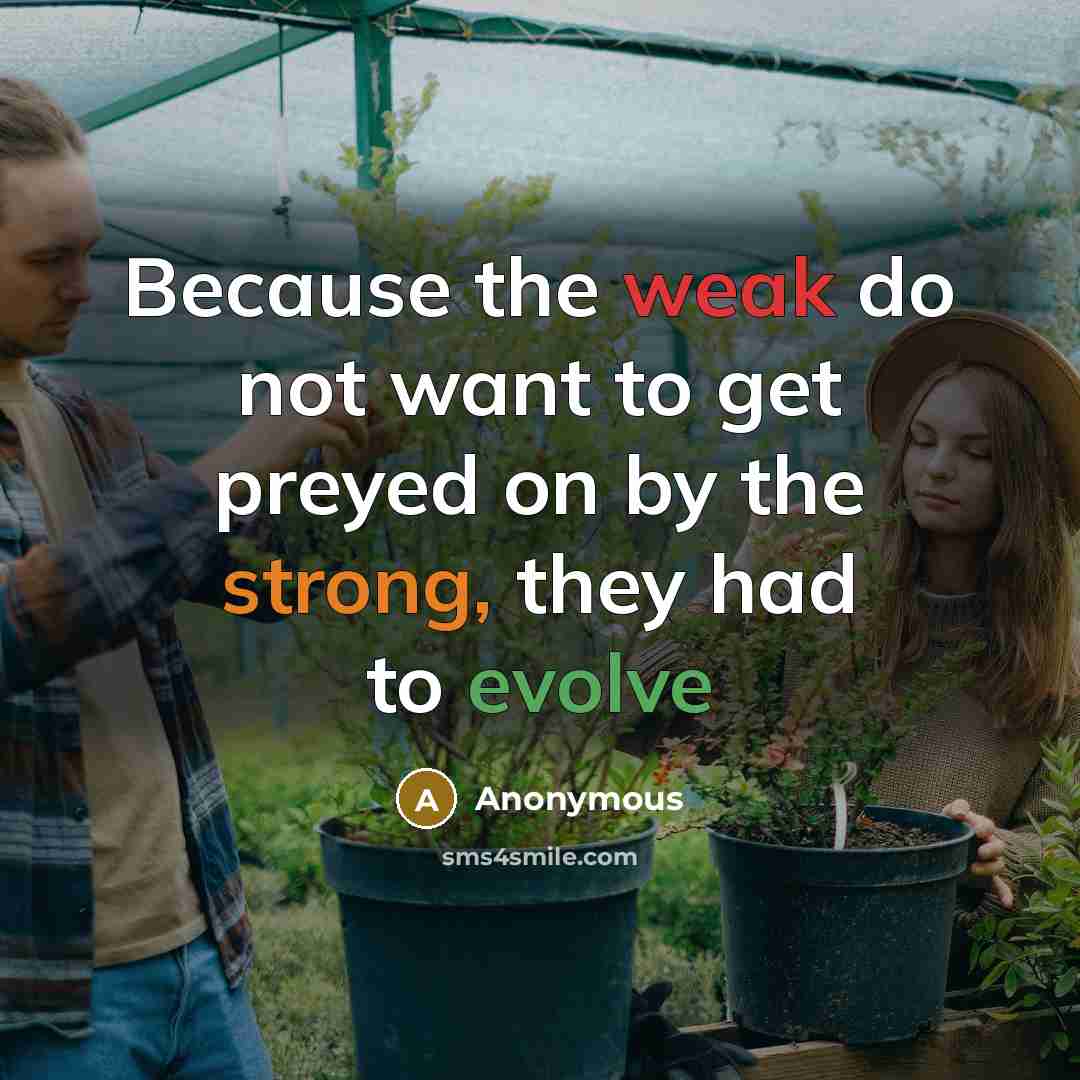 “Because the weak do not want to get preyed on by the strong, they had to evolve” quote by Anonymous
