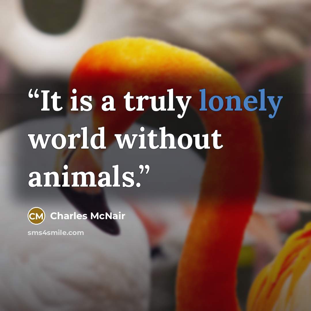 “It is a truly lonely world without animals.” quote by Charles McNair