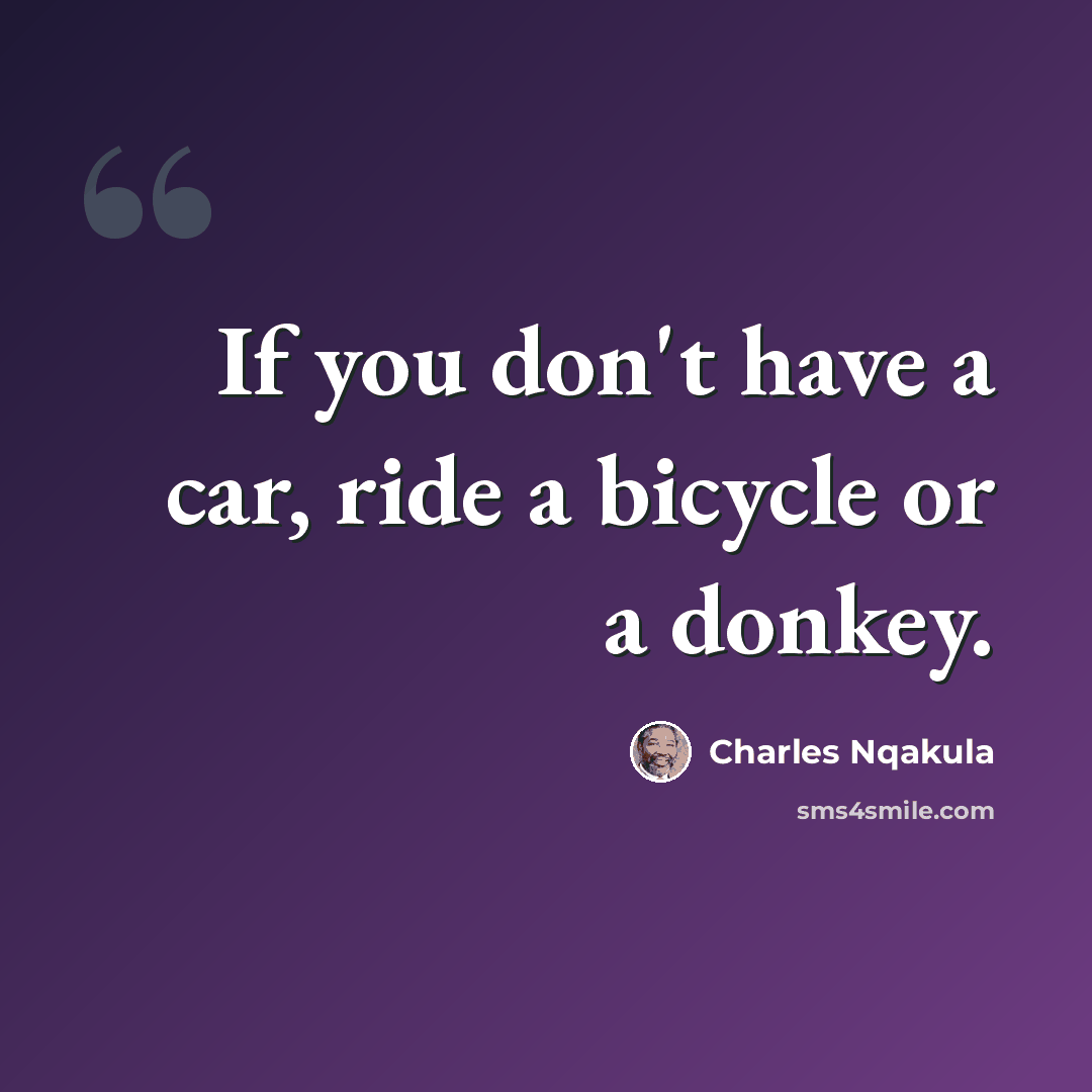 “If you don't have a car, ride a bicycle or a donkey.” quote by Charles Nqakula