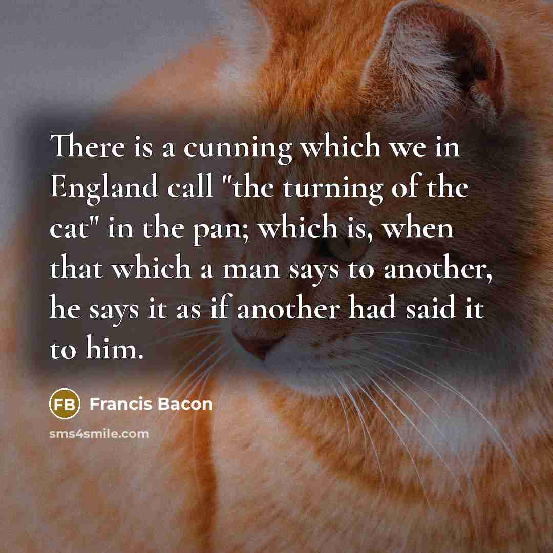 “There is a cunning which we in England call "the turning of the cat" in the pan; which is, when that which a man says to another, he says it as if another had said it to him.” quote by Francis Bacon