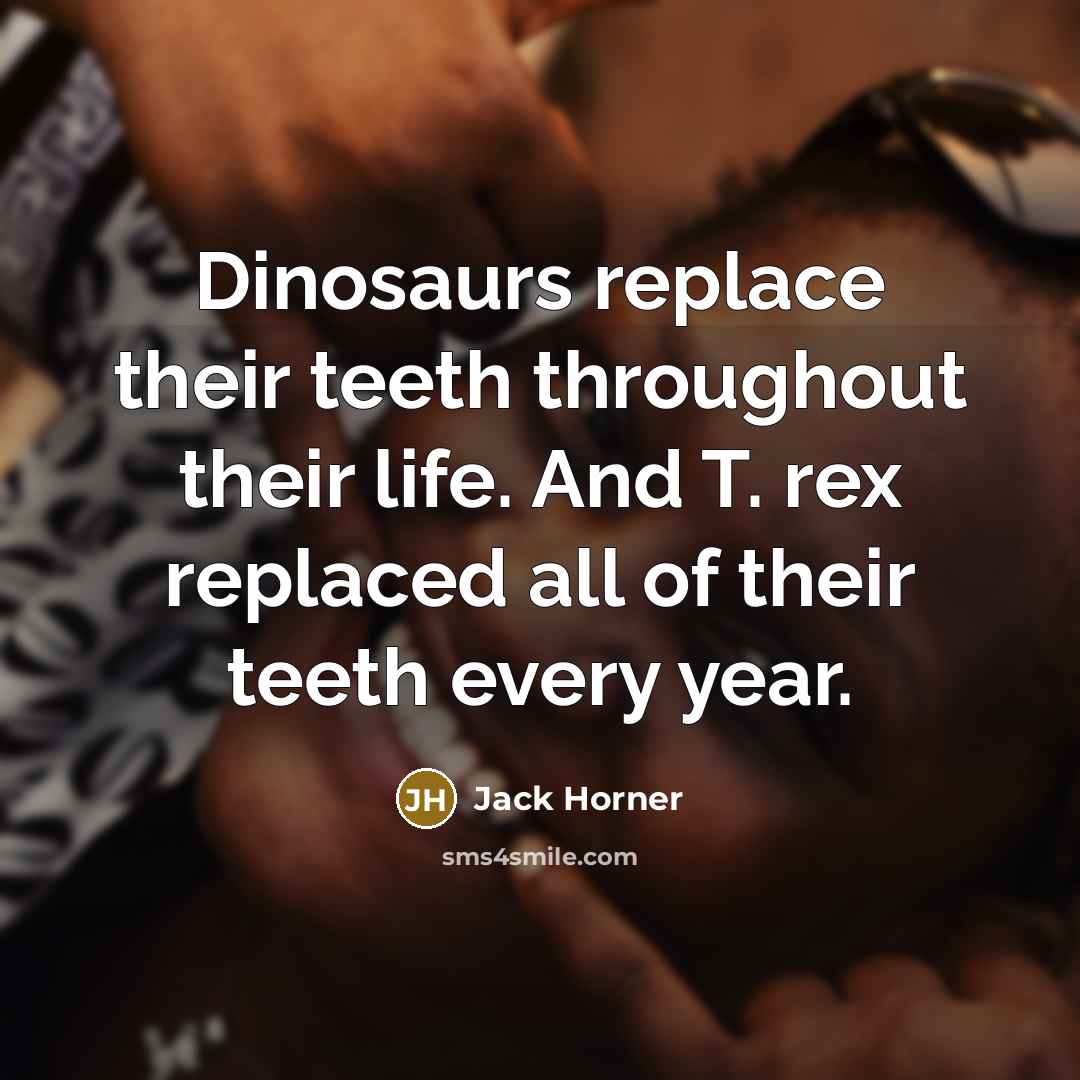“Dinosaurs replace their teeth throughout their life. And T. rex replaced all of their teeth every year.” quote by Jack Horner