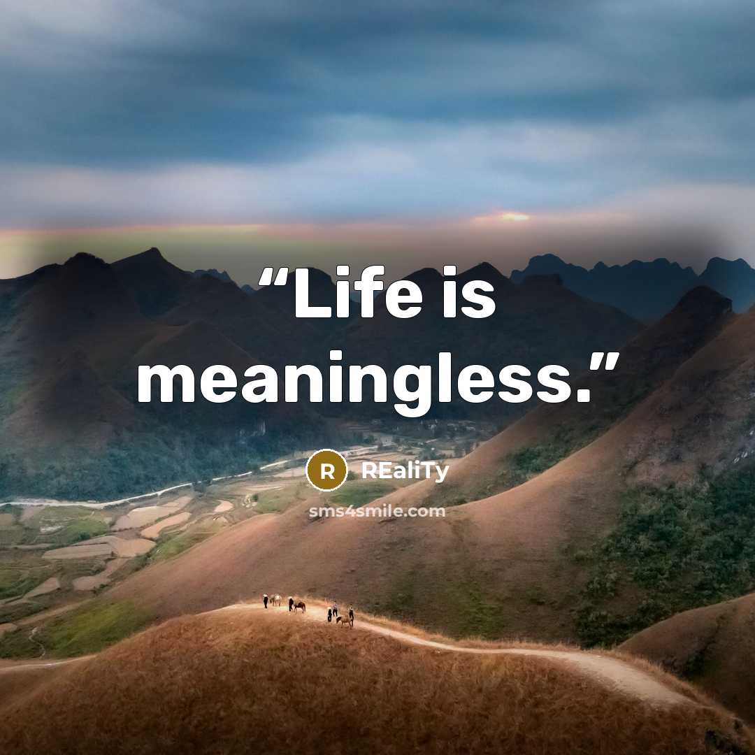 “Life is meaningless.” quote by reality