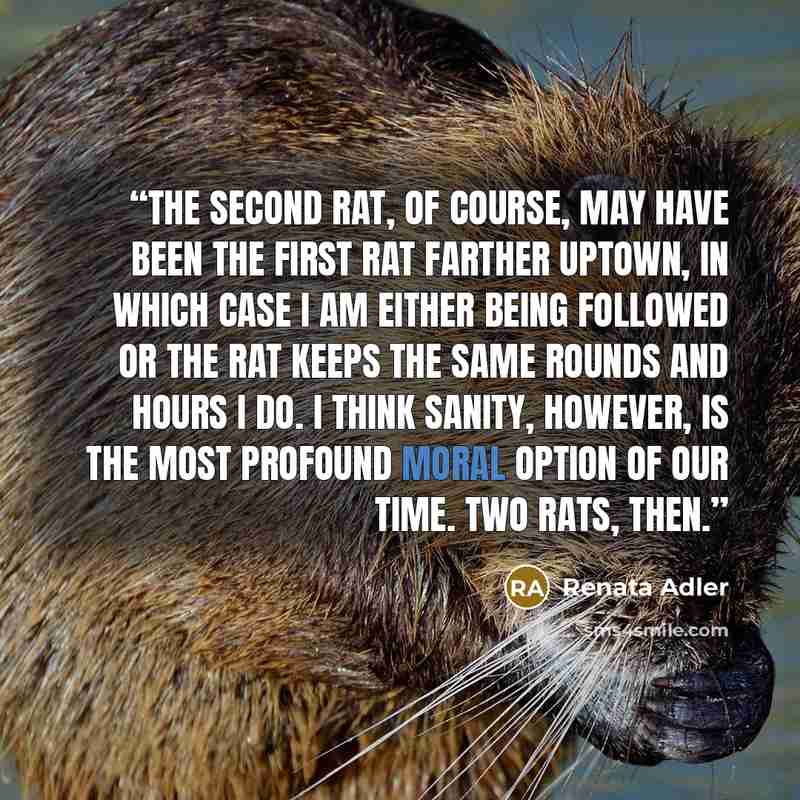 “The second rat, of course, may have been the first rat farther uptown, in which case I am either being followed or the rat keeps the same rounds and hours I do. I think sanity, however, is the most profound moral option of our time. Two rats, then.” quote by Renata Adler