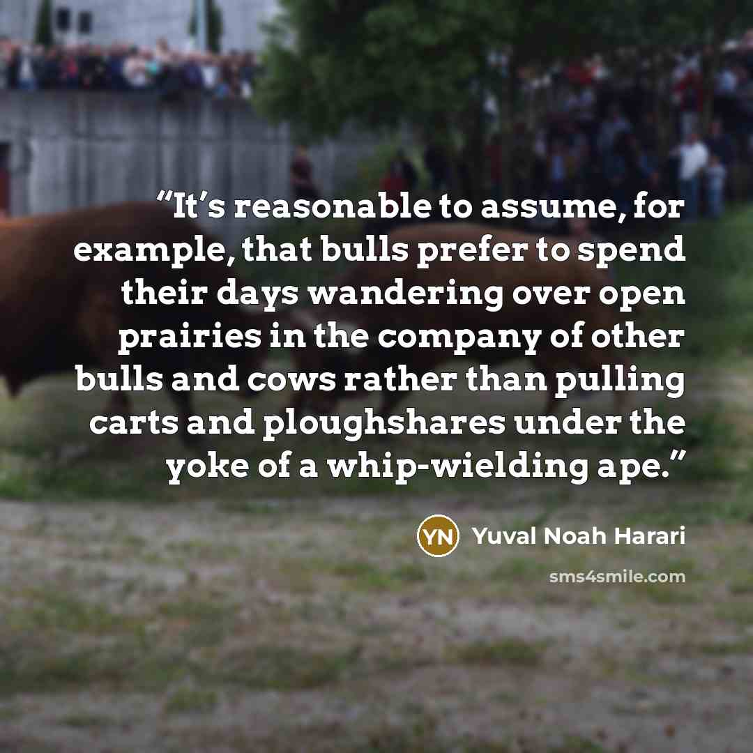 “It’s reasonable to assume, for example, that bulls prefer to spend their days wandering over open prairies in the company of other bulls and cows rather than pulling carts and ploughshares under the yoke of a whip-wielding ape.” quote by Yuval Noah Harari