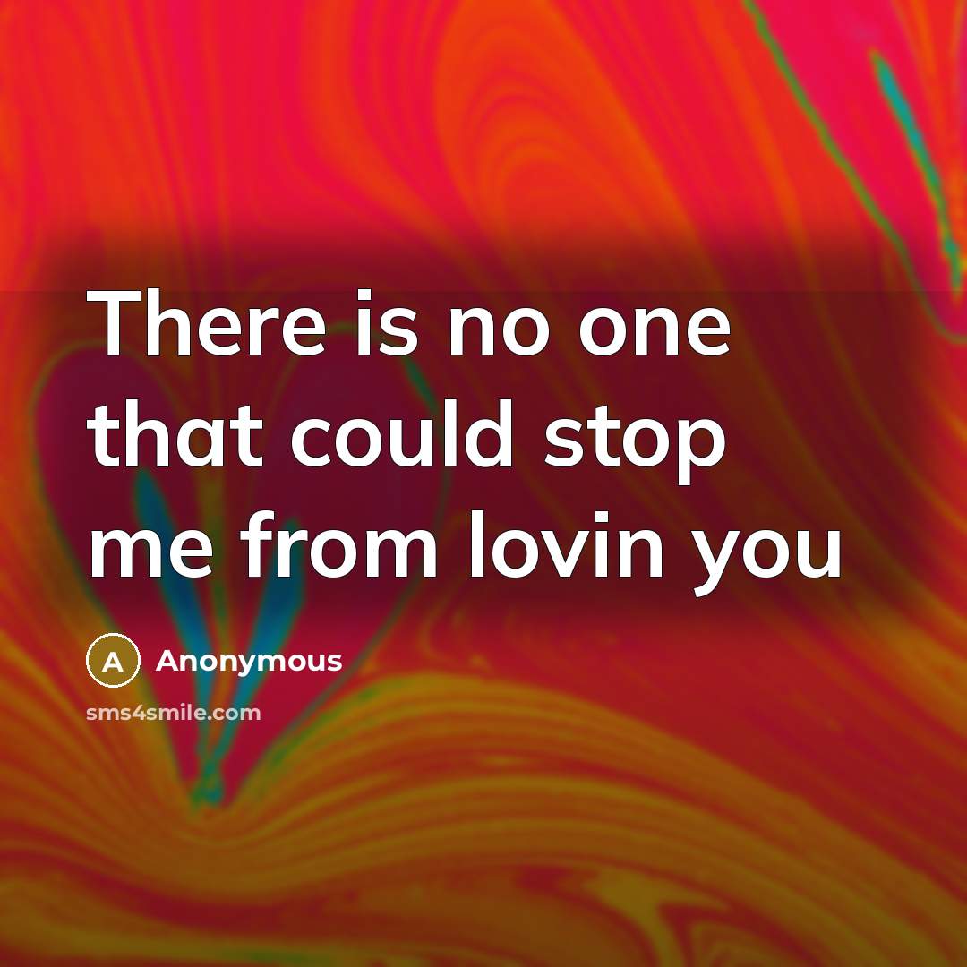 “There is no one that could stop me from lovin you” quote by Anonymous