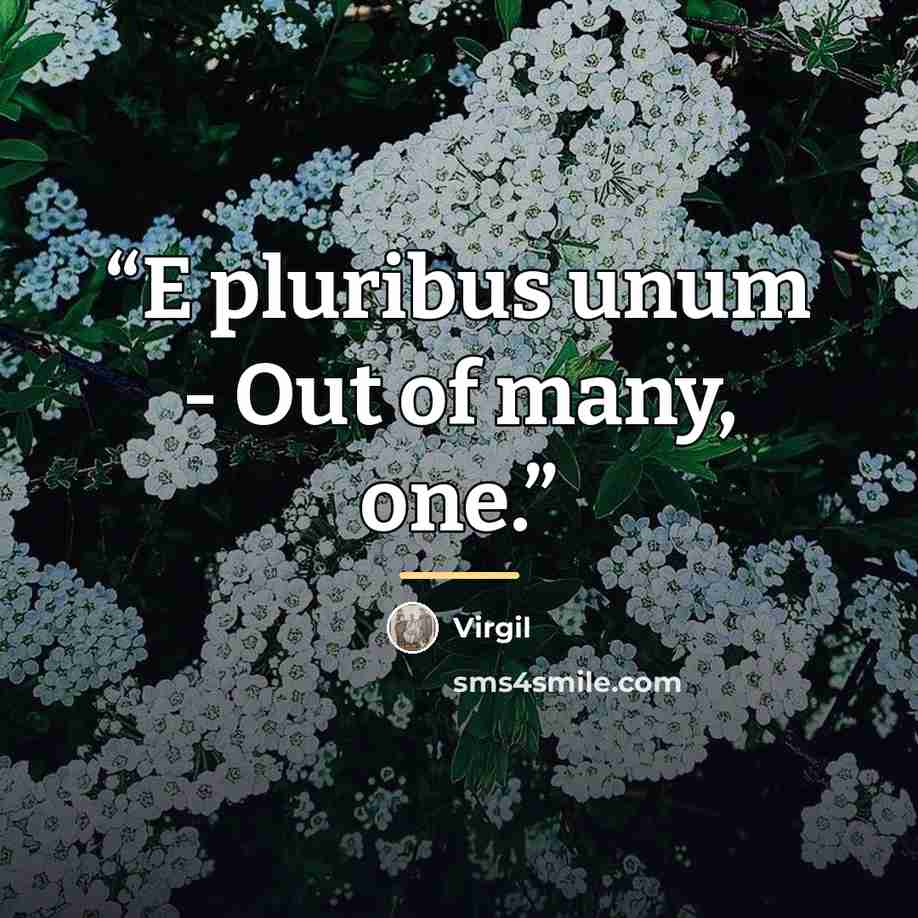 “E pluribus unum - Out of many, one.” quote by Virgil