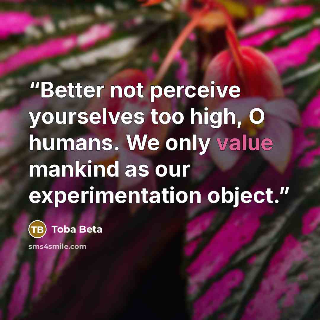“Better not perceive yourselves too high, O humans. We only value mankind as our experimentation object.” quote by Toba Beta