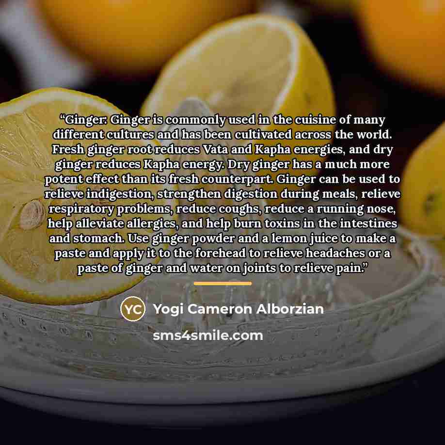 “Ginger: Ginger is commonly used in the cuisine of many different cultures and has been cultivated across the world. Fresh ginger root reduces Vata and Kapha energies, and dry ginger reduces Kapha energy. Dry ginger has a much more potent effect than its fresh counterpart. Ginger can be used to…” quote by Yogi Cameron Alborzian