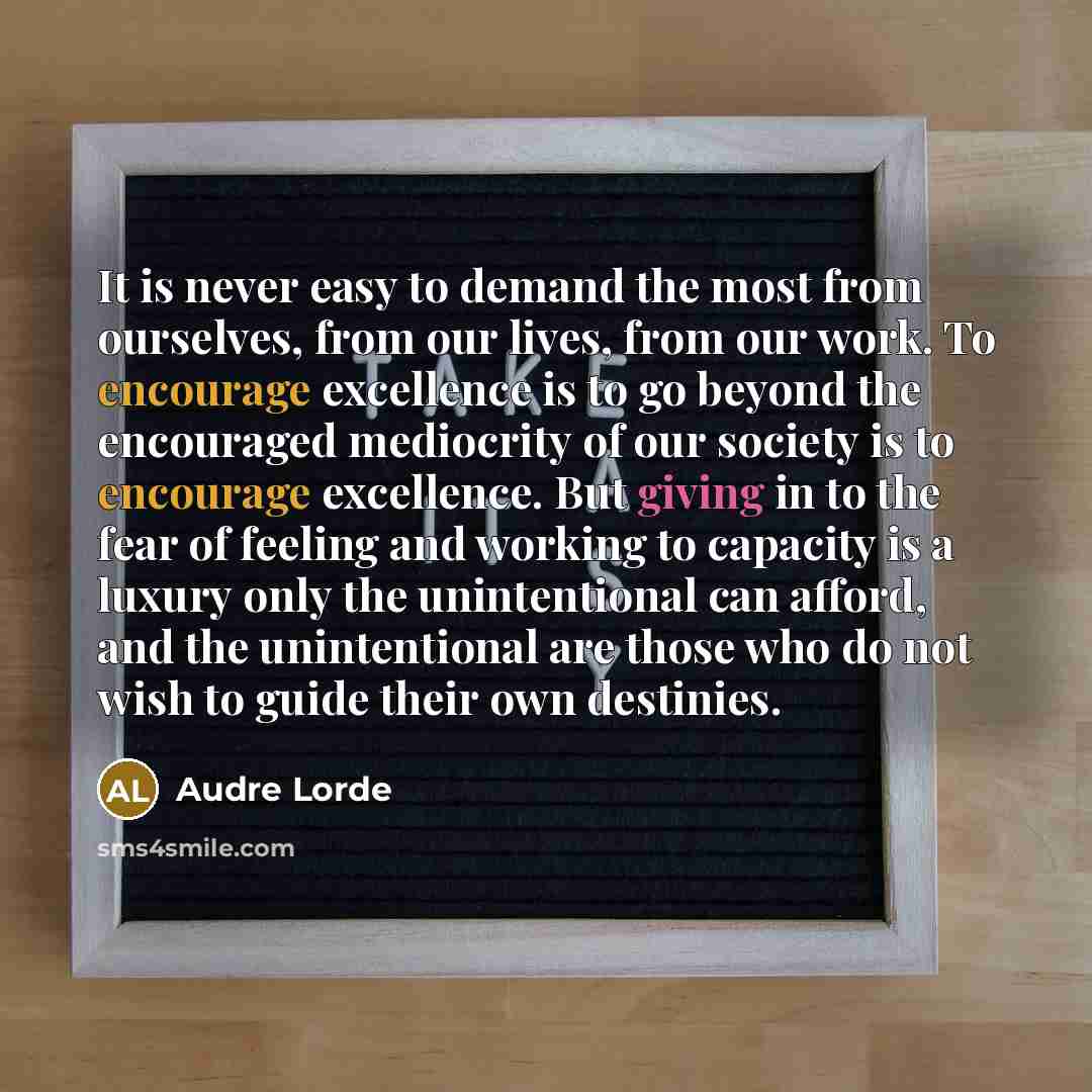 “It is never easy to demand the most from ourselves, from our lives, from our work. To encourage excellence is to go beyond the encouraged mediocrity of our society is to encourage excellence. But giving in to the fear of feeling and working to capacity is a luxury only the unintentional can…” quote by Audre Lorde