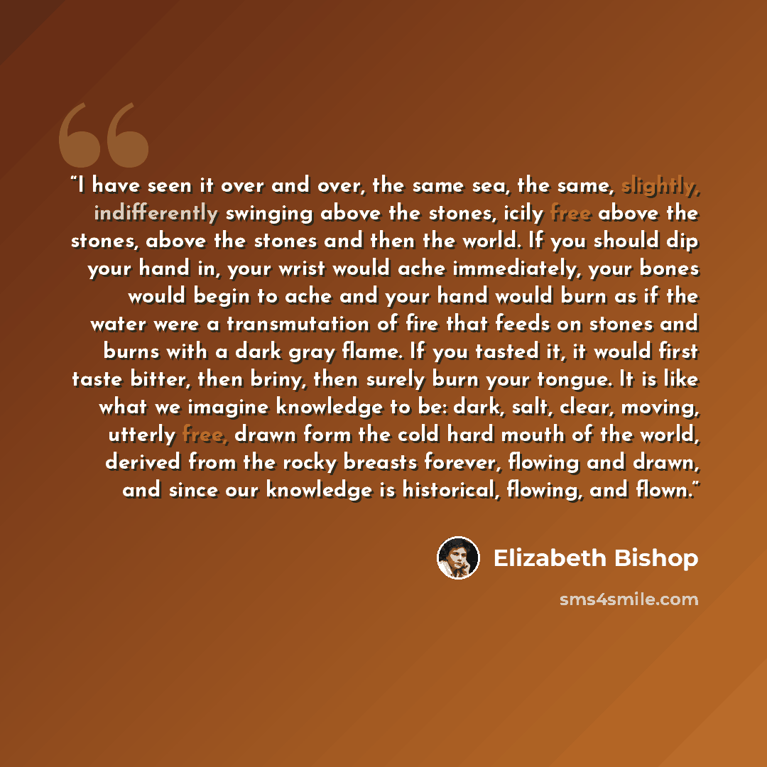 “I have seen it over and over, the same sea, the same, slightly, indifferently swinging above the stones, icily free above the stones, above the stones and then the world. If you should dip your hand in, your wrist would ache immediately, your bones would begin to ache and your hand would burn as…” quote by Elizabeth Bishop