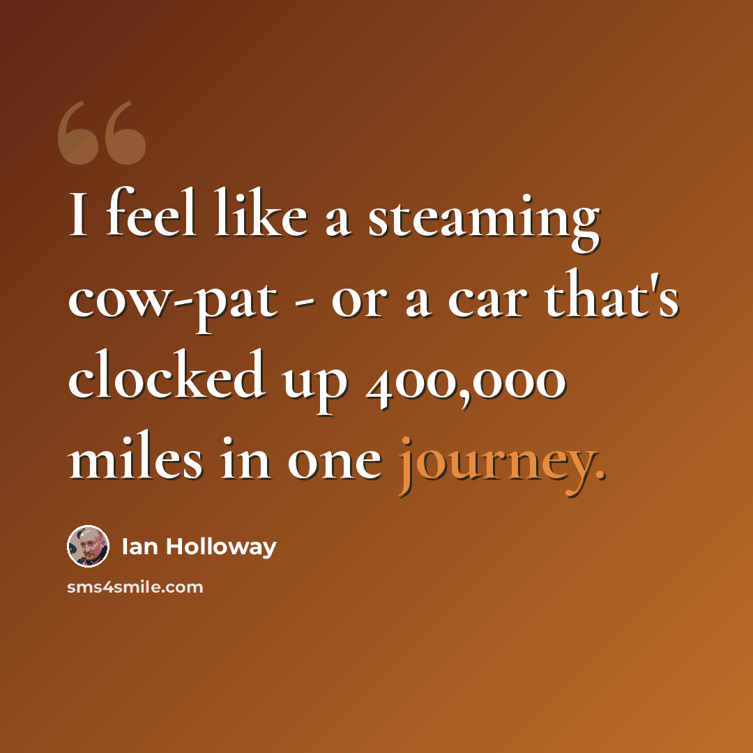 “I feel like a steaming cow-pat - or a car that's clocked up 400,000 miles in one journey.” quote by Ian Holloway