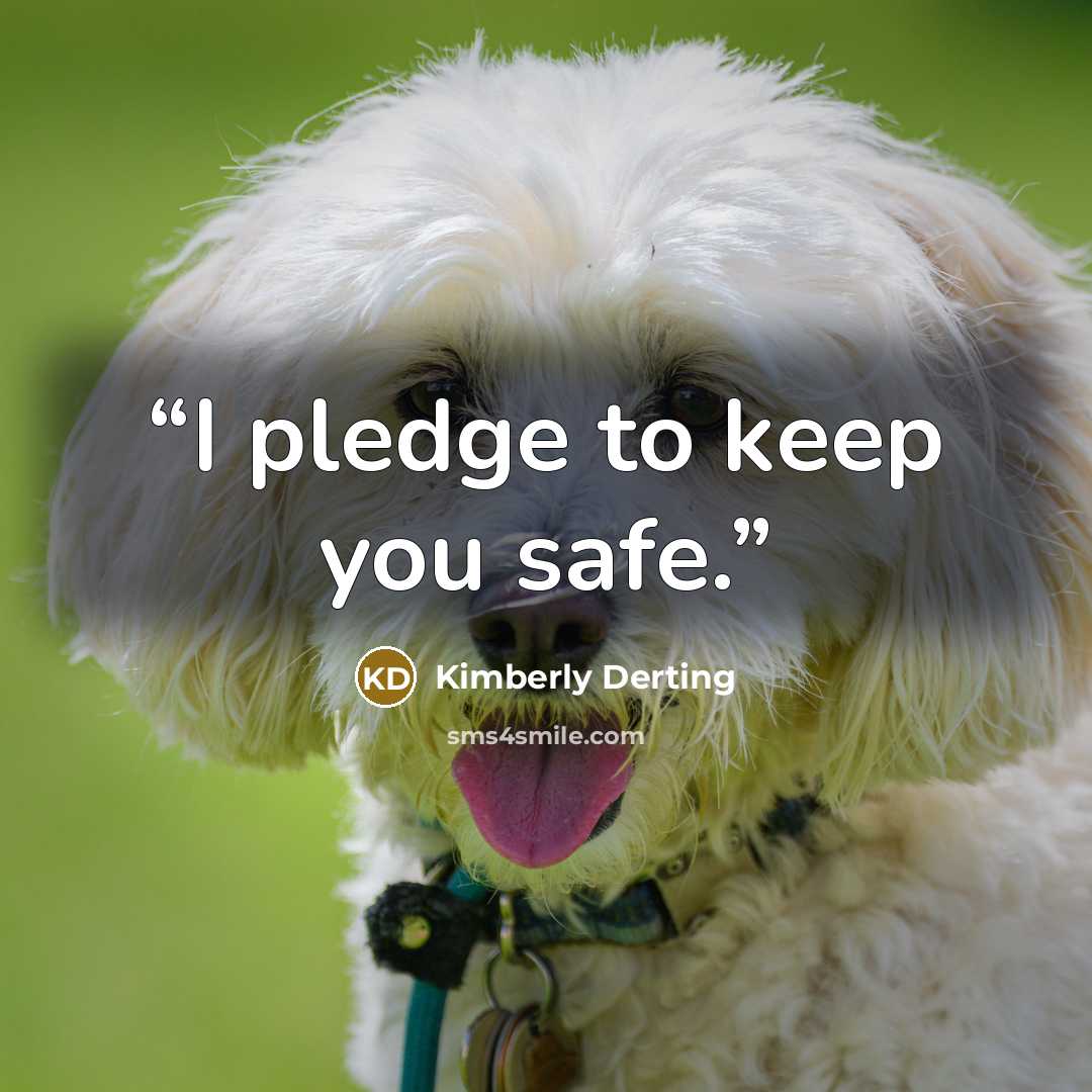 “I pledge to keep you safe.” quote by Kimberly Derting