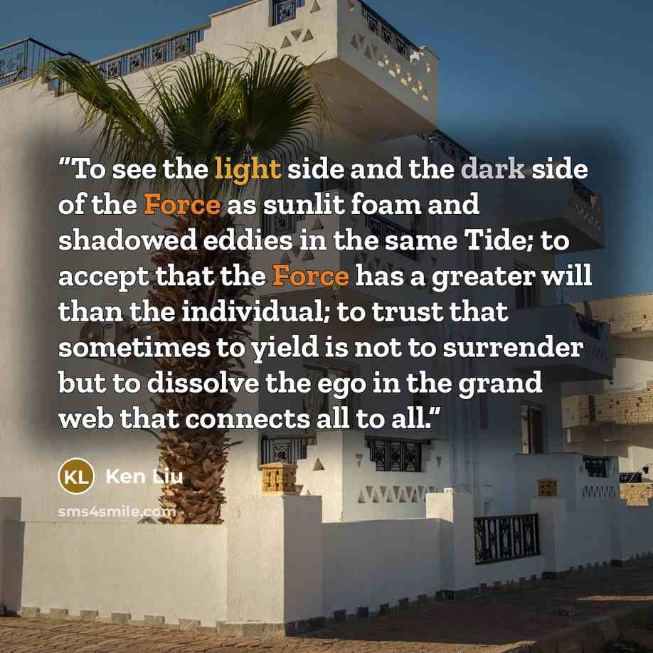 “To see the light side and the dark side of the Force as sunlit foam and shadowed eddies in the same Tide; to accept that the Force has a greater will than the individual; to trust that sometimes to yield is not to surrender but to dissolve the ego in the grand web that connects all to all.” quote by Ken Liu