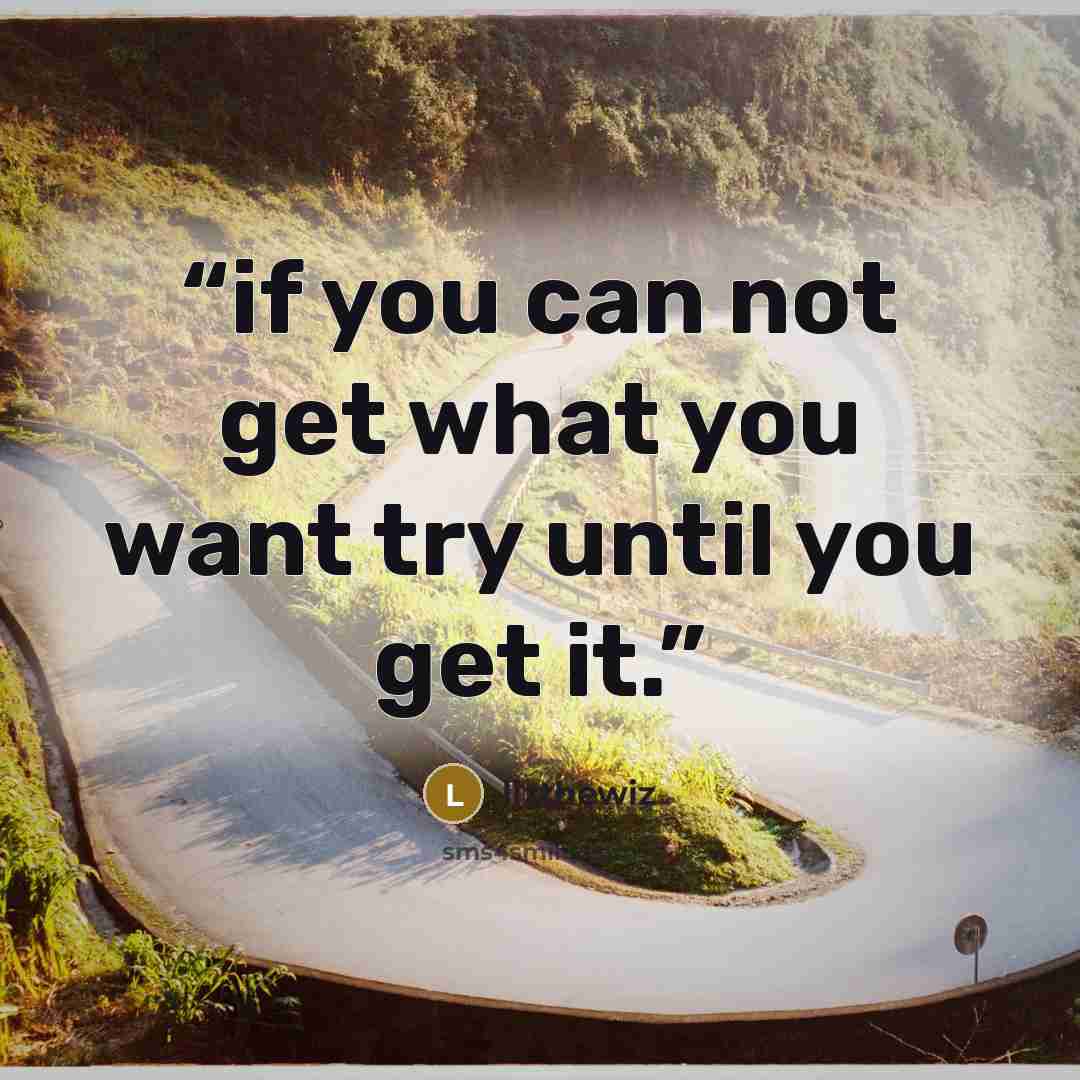 “if you can not get what you want try until you get it.” quote by lizthewiz