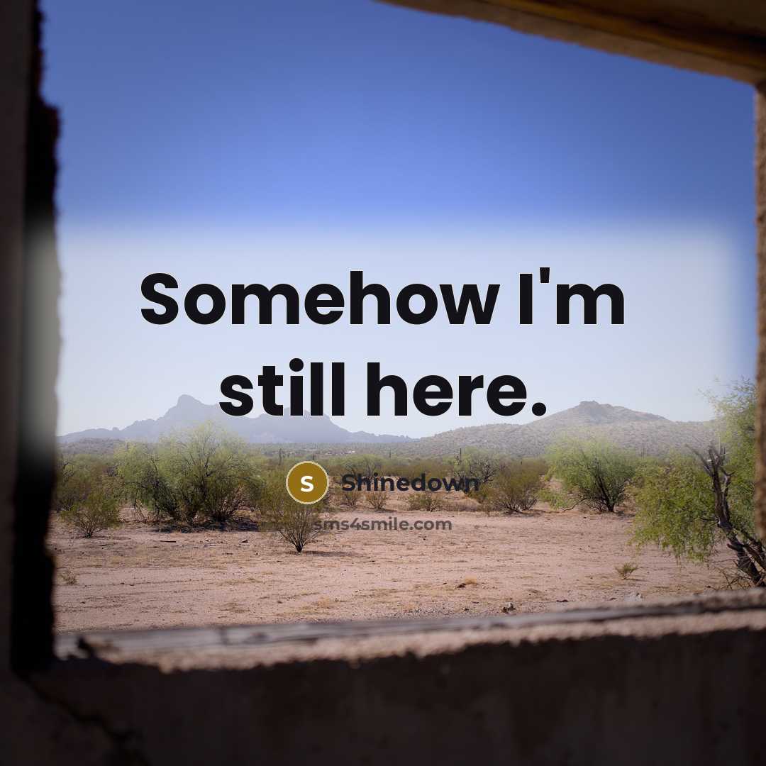 “Somehow I'm still here.” quote by Shinedown