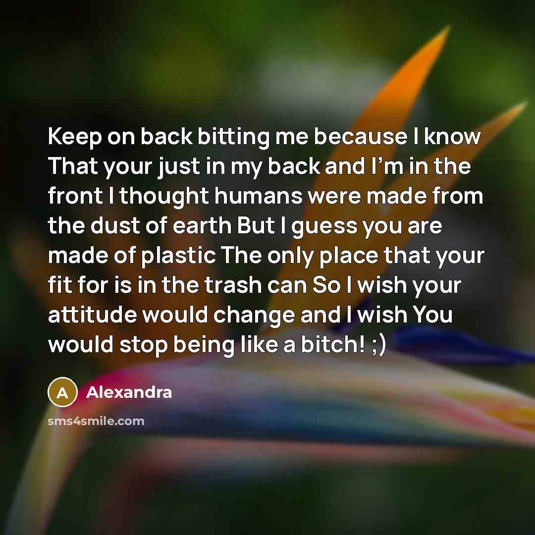 “Keep on back bitting me because I know That your just in my back and I'm in the front I thought humans were made from the dust of earth But I guess you are made of plastic The only place that your fit for is in the trash can So I wish your attitude would change and I wish You would stop being like…” quote by Alexandra