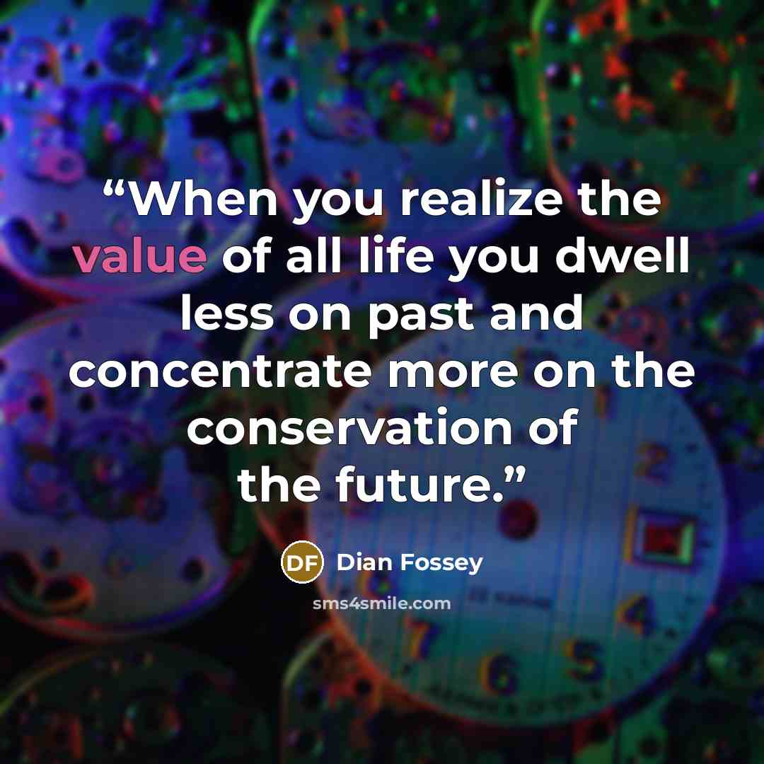 “When you realize the value of all life you dwell less on past and concentrate more on the conservation of the future.” quote by Dian Fossey